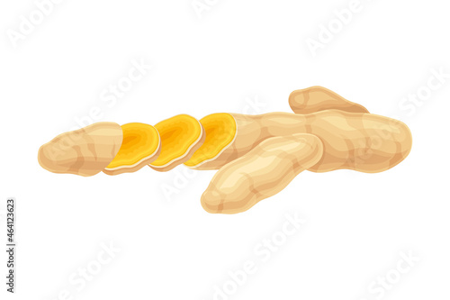 Turmeric or Curcuma Longa Sliced Rhizome Used in Asian Cuisine Closeup Vector Illustration