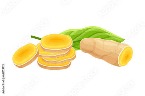 Turmeric or Curcuma Longa Sliced Rhizome Used in Asian Cuisine Closeup Vector Illustration