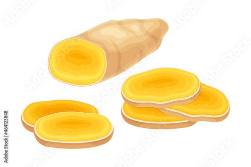 Turmeric or Curcuma Longa Sliced Rhizome Used in Asian Cuisine Closeup Vector Illustration
