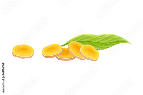 Turmeric or Curcuma Longa Sliced Rhizome Used in Asian Cuisine Closeup Vector Illustration