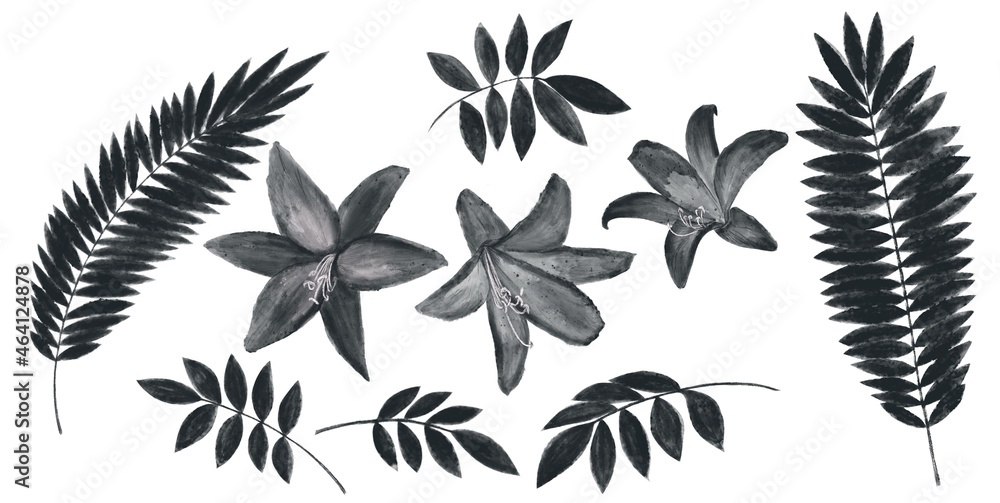 Ilustración de flores y plantas ornamentales en tonos oscuros, negros. Plantilla botánica de hojas con acuarelas Ilustración de flores y plantas ornamentales en tonos oscuros, negros. Plantilla botánica de hojas con acuarelas