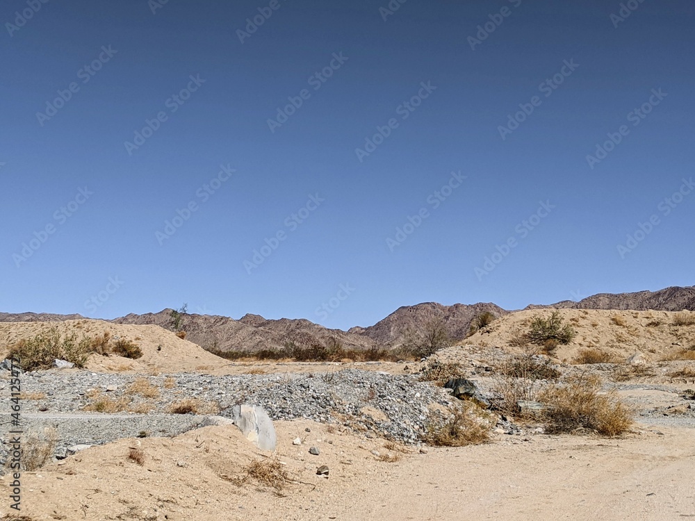Desert landscape with mountain background