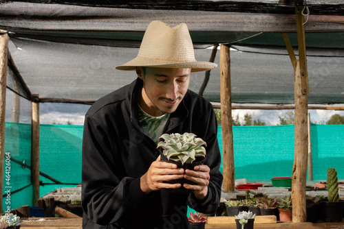 Succulent plant gardener man holding and contemplating an Echeveria Madiba plant in a pot photo