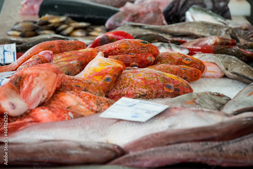 Fresh tropical ocean fish on ice ready for customers at market.