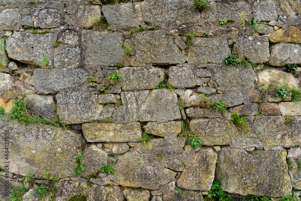 old bricks of the fortress with growing plants
