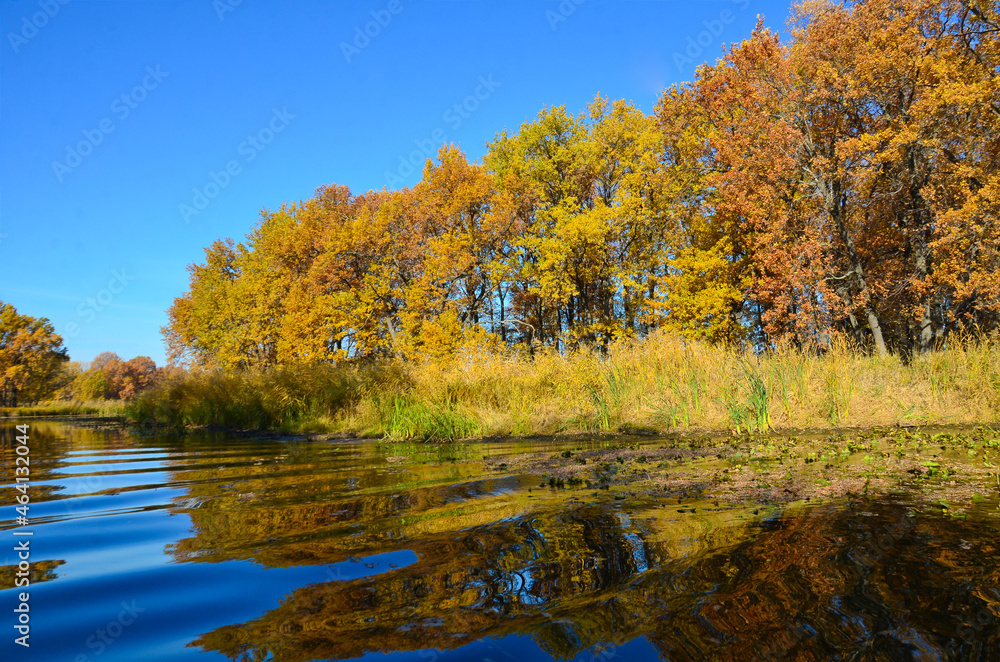 autumn, the view of trees from the river to the autumn trees of bright colors reflected in the water selective focus