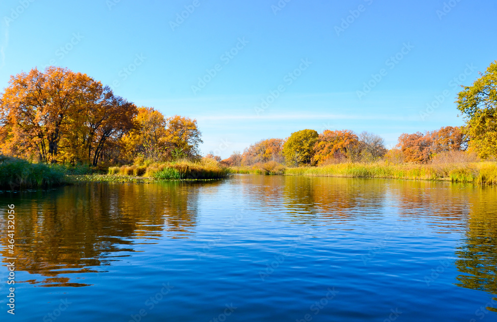 autumn, the shore near the water, autumn trees of bright colors reflected in the water selective focus autumn, the shore near the water, autumn trees of bright colors reflected in the water selective focus