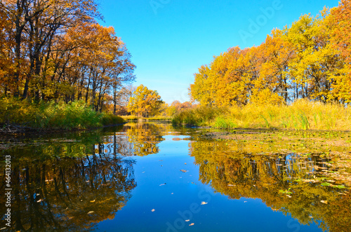 beautiful view from the river to the banks in autumn bright colors of autumn in nature selective focus