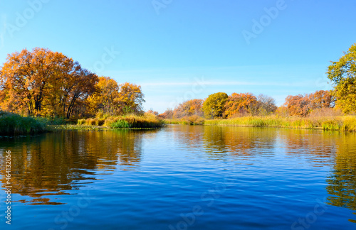 autumn  the shore near the water  autumn trees of bright colors reflected in the water selective focus