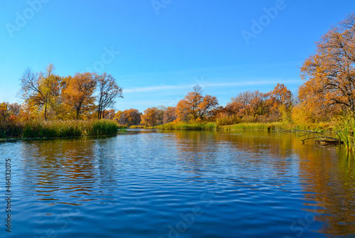 autumn, the shore near the water, autumn trees of bright colors reflected in the water selective focus