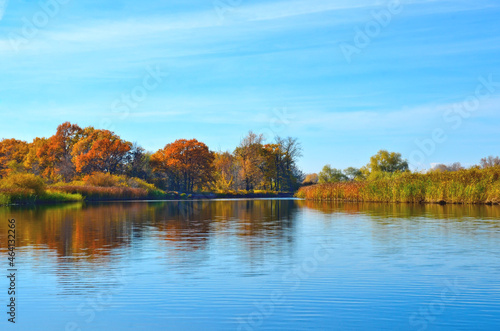 autumn, the shore near the water, autumn trees of bright colors reflected in the water selective focu