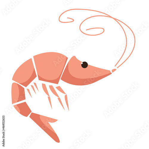 Shrimp on a white background. Flat style illustration. Vector isolated.