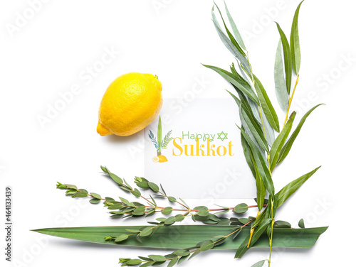 Sukkot festival symbols and greeting card on white background photo