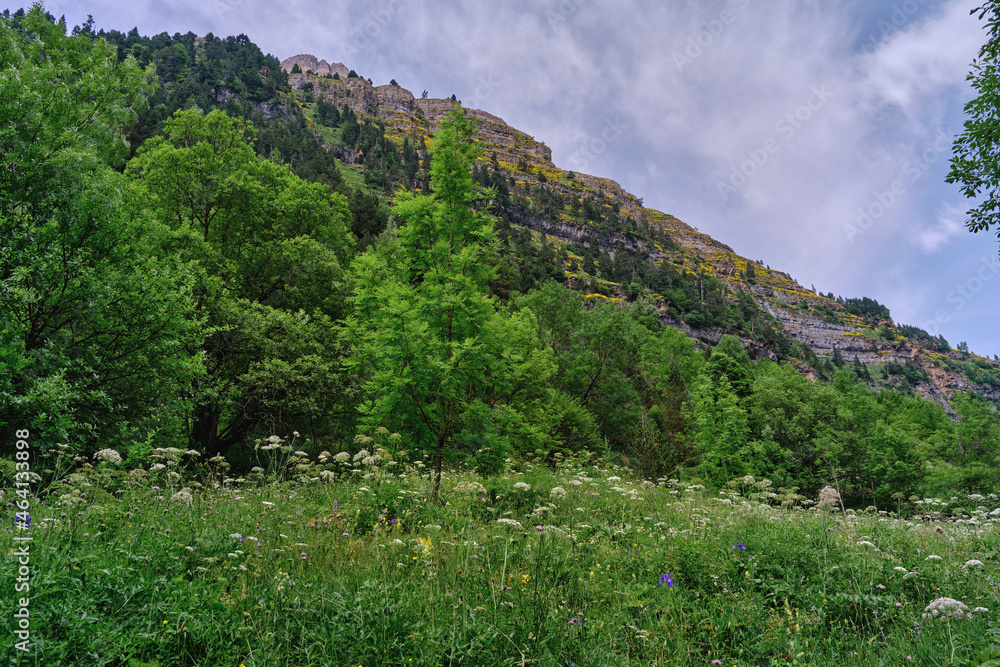 beautiful mountain green landscape in europe