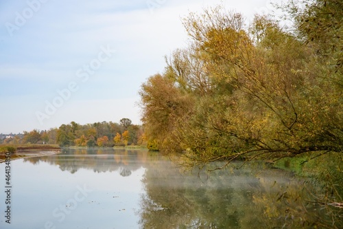 riverside forest near the river inn in upper austria photo