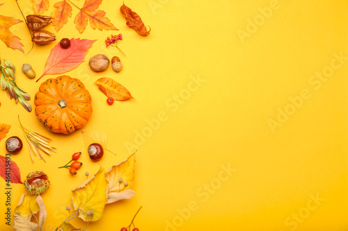 Beautiful autumn composition with ripe pumpkin and fallen leaves on color background  closeup