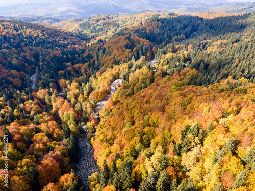 Aerial autumn view of Stone river at Vitosha Mountain, Bulgaria photo