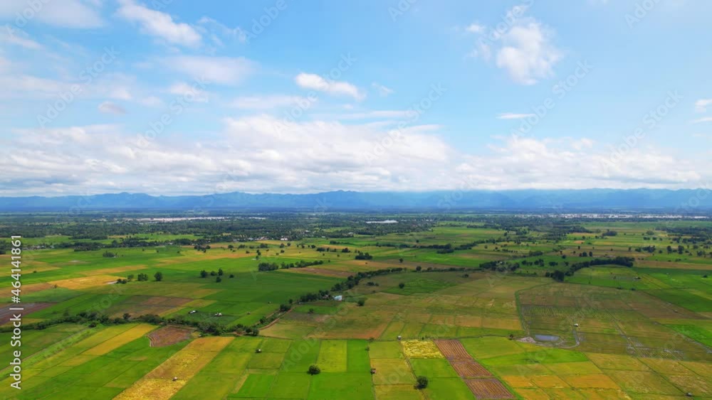 4K Aerial view of agriculture in rice fields for cultivation. a green rice field waving in the wind, Green rice plants growing. Natural the texture for background
4K Aerial view of agriculture in rice fields for cultivation. a green rice field waving in the wind, Green rice plants growing. Natural the texture for background