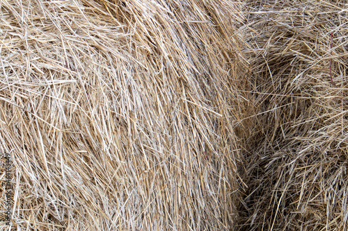 Dry straw texture, large hay stack after harvest season close up, natural background