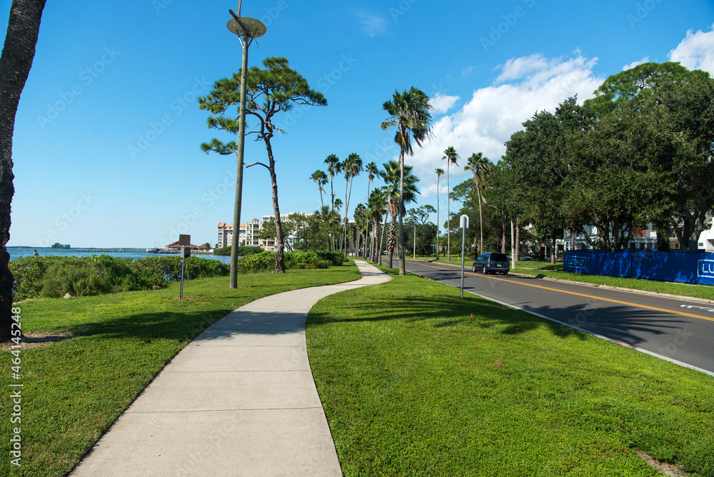 Obraz premium walking path with palm trees along the ocean