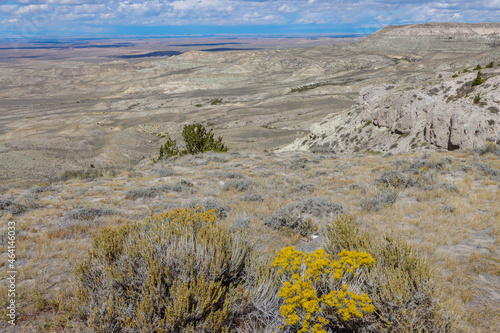 Fototapeta Naklejka Na Ścianę i Meble -  The Great Divide Basin, Wyoming