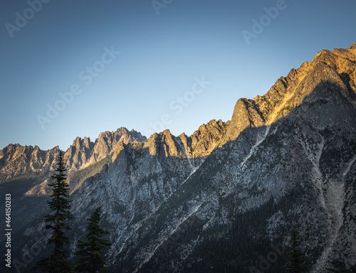 sunrise in the mountains, a line of pine trees on the front background 