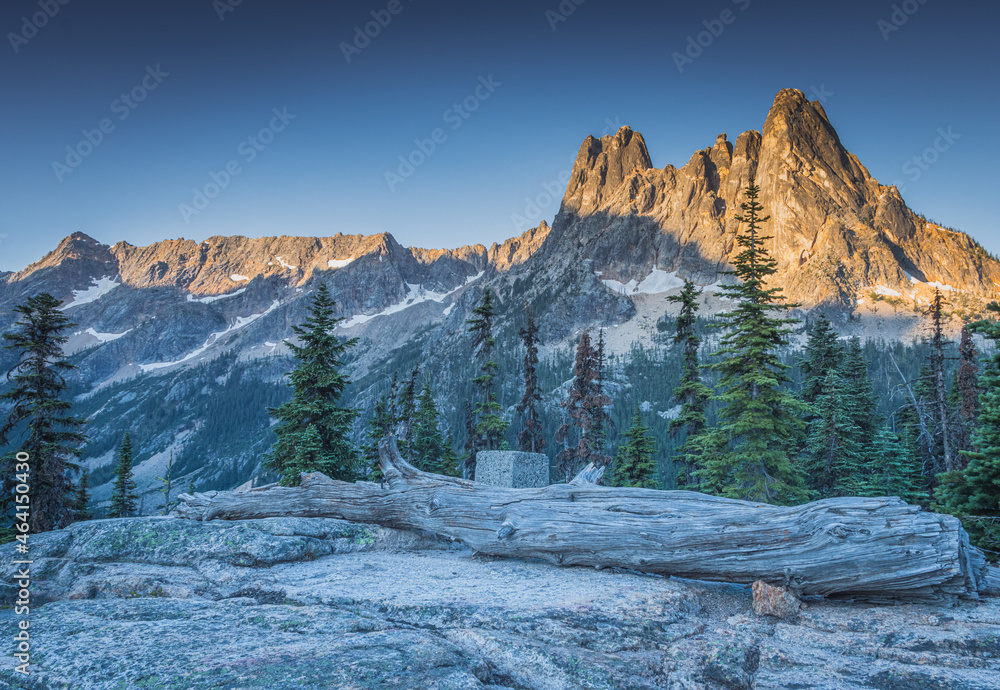 sunrise in the mountains, a line of Christmas trees on the second background and in front of a dead tree trunk