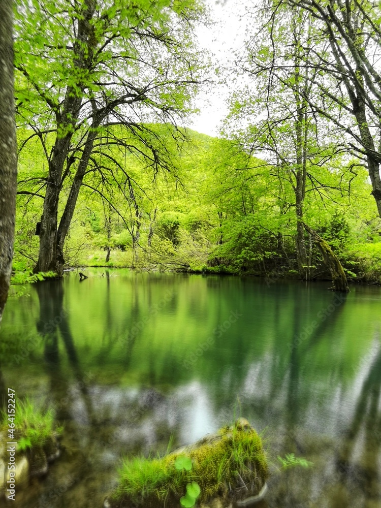 Obraz premium river in the forest