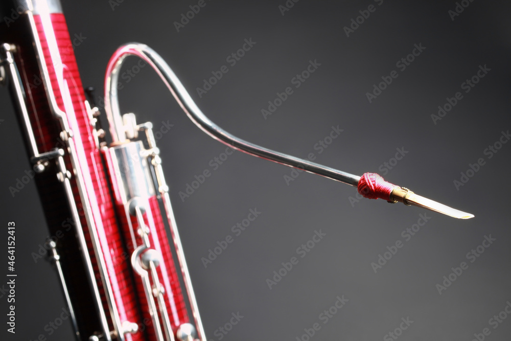 Bassoon reed woodwind music instrument - obrazy, fototapety, plakaty 