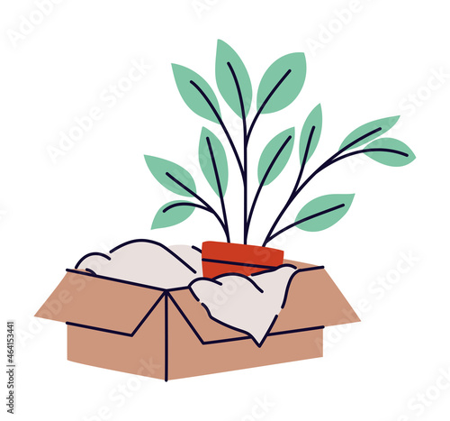 box with plant
