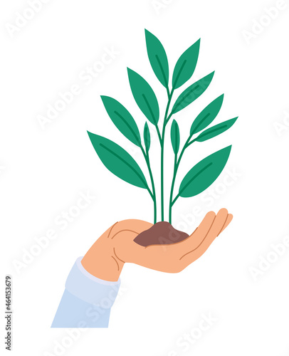 plant on hand