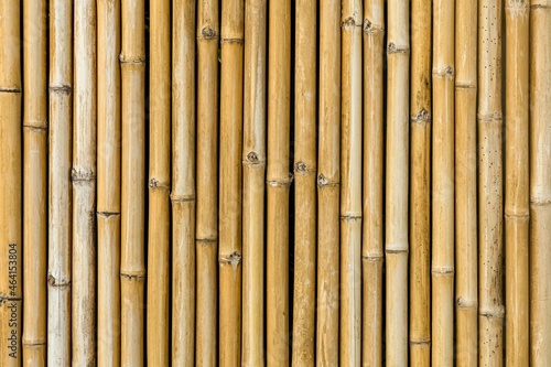 Fototapeta Naklejka Na Ścianę i Meble -  Brown old Bamboo fence texture and background seamless
