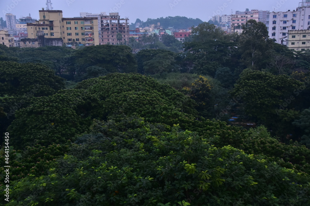 バングラデシュのチッタゴン。
森林とレトロな街並み。