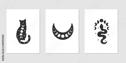 Black celestial animal silhouette vector illustration - boho cat, witchy snake with moon phases. Esoteric mystical concept for tribal poster, card, magic t-shirt print. Witchcraft symbols.