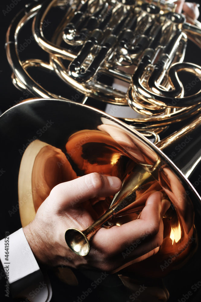 Obraz premium French horn player hands with mute close up. Brass music instrument