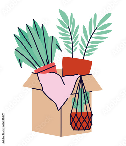 box with plants