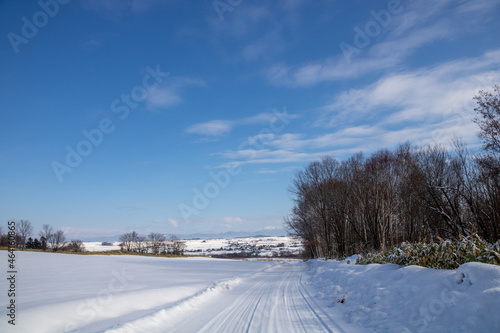 郊外の雪道と青空 © まり子 佐藤