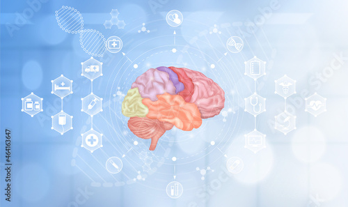 Doctor hand holding brain human. Medical examination healthy brain. Icon medical network connection and health care. innovative technology in science and medical concept.  Realistic 3D Vector.