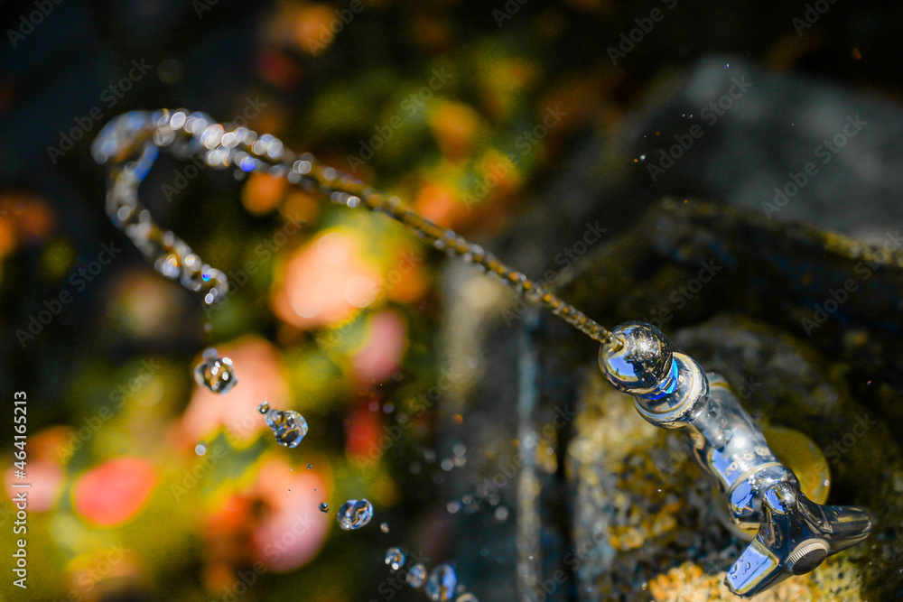 水飲み場 水飲み場