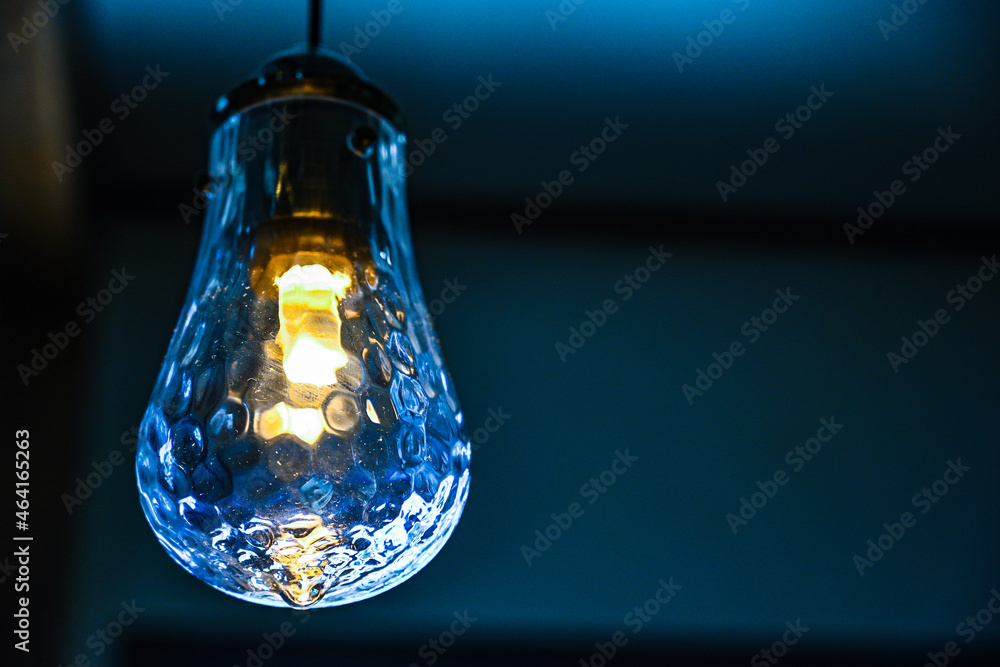 電球 電球