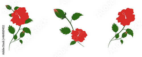 set of red hibiscus flowers  with green leaves and buds  on a white background. vector illustration for decoration and design. isolated objects. 