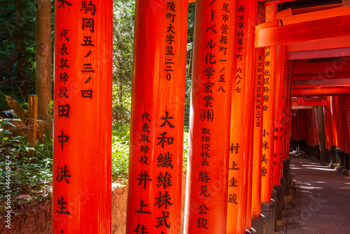 Torii in Fushimi Inari-taisha shrine in Kyoto city on a sunny summer day, Japan photo