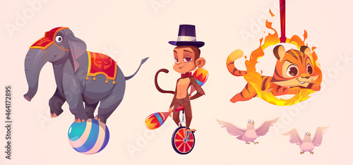 Cute circus animals, elephant standing on ball, monkey juggler, tiger jumping through fire ring and white doves. Vector cartoon set of funny animals performers in amusement park or circus