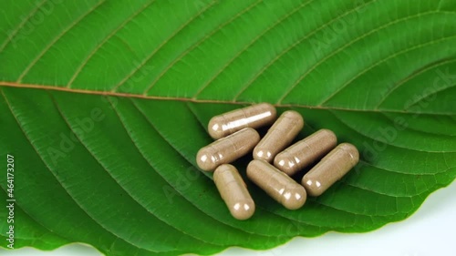  capsule on kratom leaf on white background,(Mitragyna speciosa) Drugs and Narcotics,Thai herbal which encourage health.