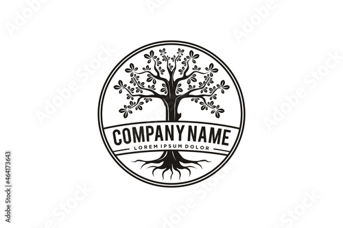 Family Tree Stamp Seal Emblem Oak Banyan Maple logo vector design