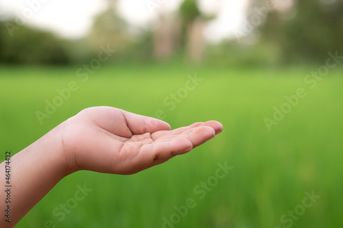 children empty hand on green nature background © G_stockerthailand