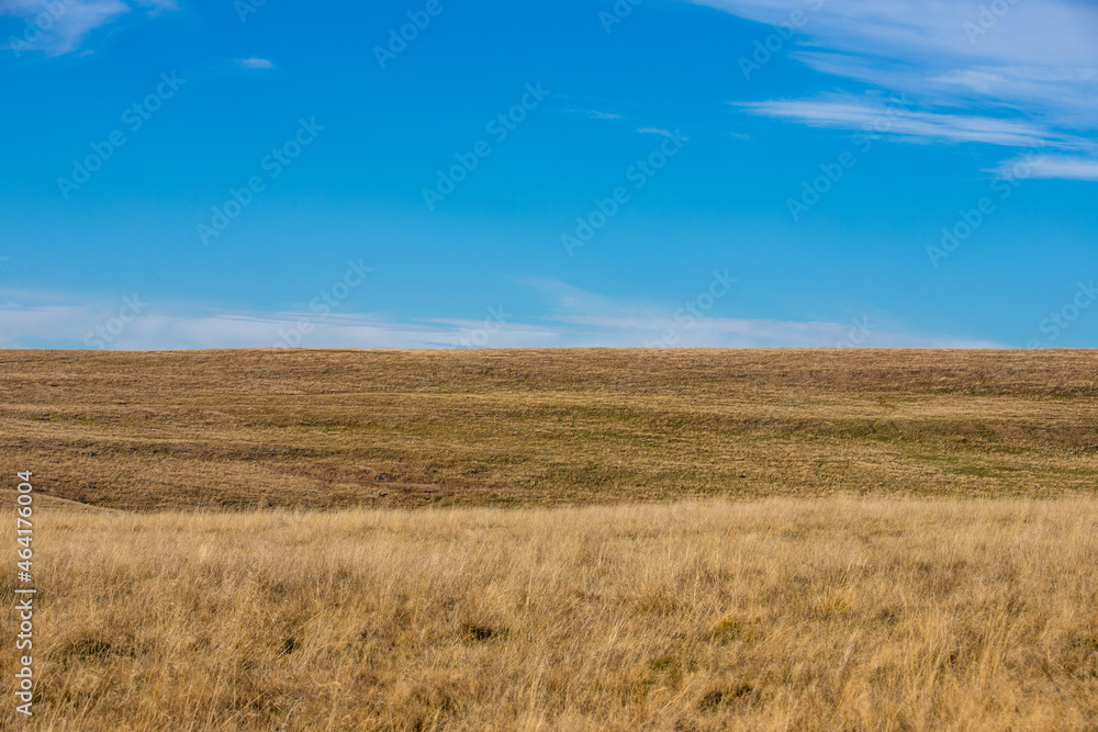 a landscape with a field of dry grass and blue sky