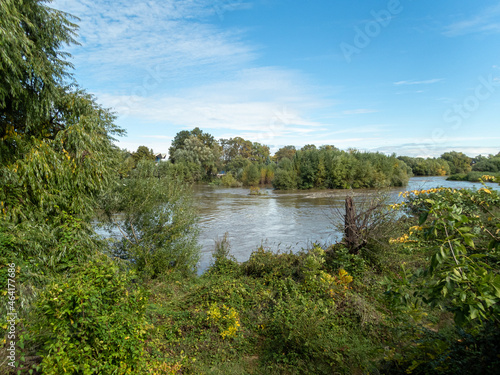View to a river, trees and clouds on blue sky