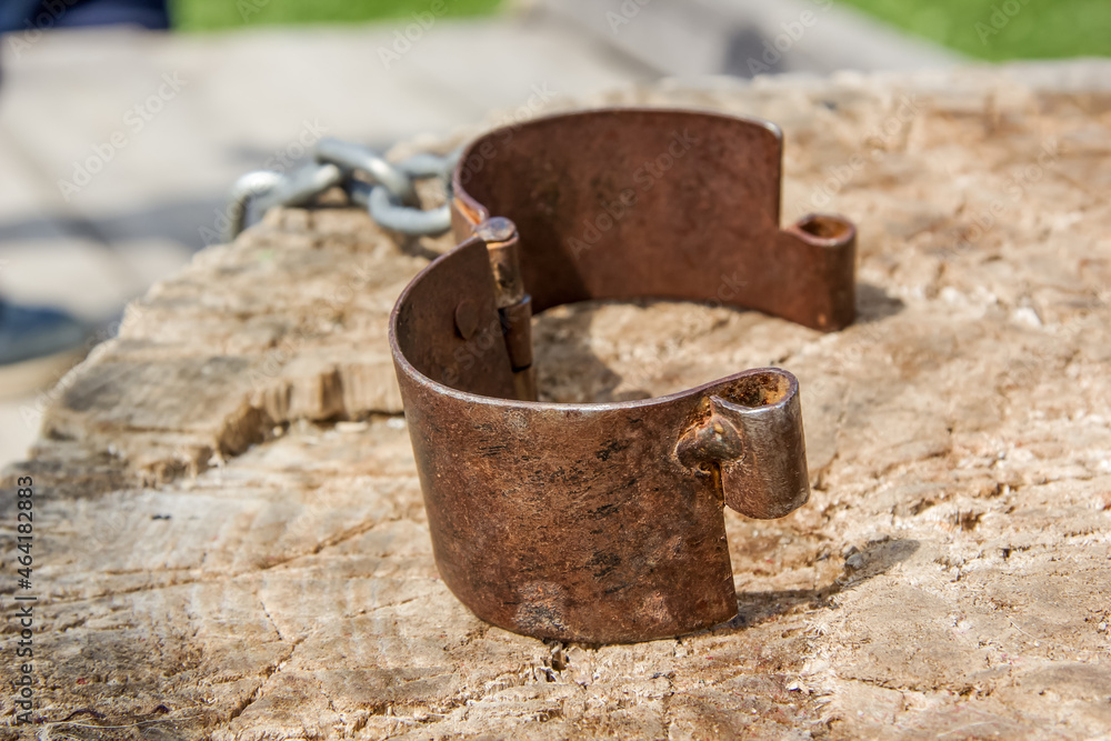 Metal medieval ancient handcuffs on a tree cut, on a stump. Punishment. Chain for tying Metal medieval ancient handcuffs on a tree cut, on a stump. Punishment. Chain for tying