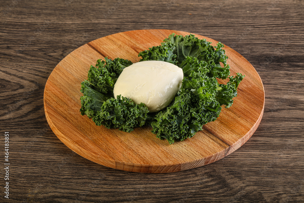 Soft mozzarella cheese over board Soft mozzarella cheese over board